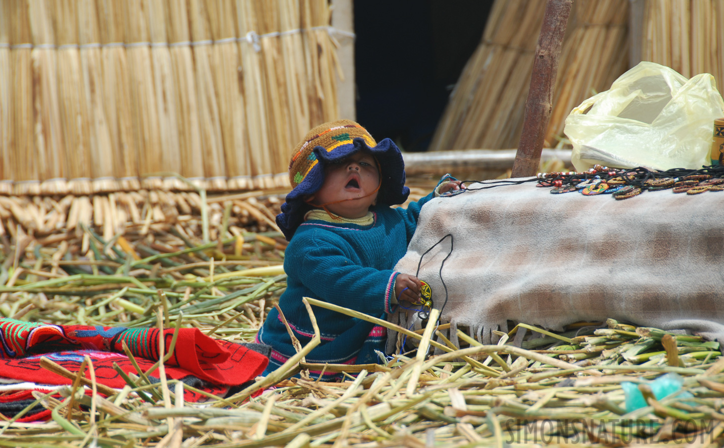 Lake Titicaca [200 mm, 1/250 Sek. bei f / 8.0, ISO 100]